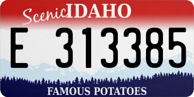 ID license plate E313385