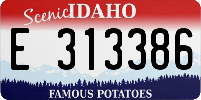 ID license plate E313386