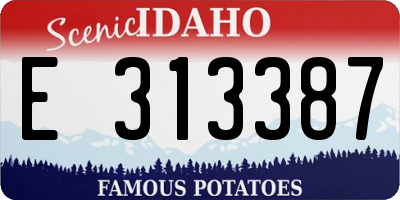 ID license plate E313387