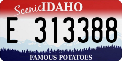 ID license plate E313388