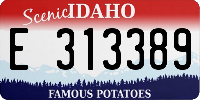 ID license plate E313389