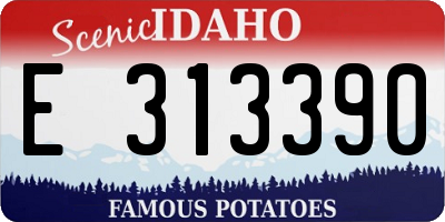 ID license plate E313390