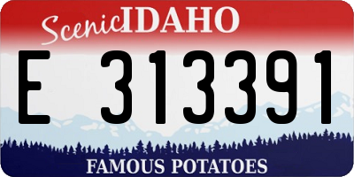 ID license plate E313391