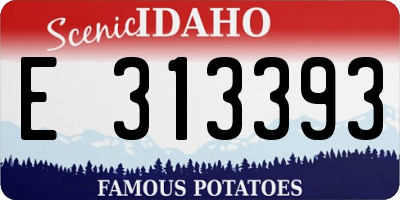 ID license plate E313393