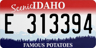 ID license plate E313394
