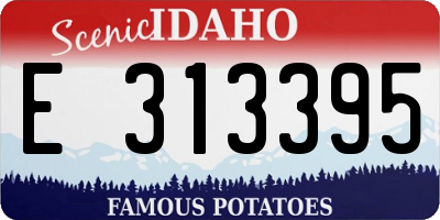 ID license plate E313395