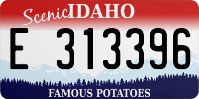 ID license plate E313396