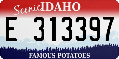 ID license plate E313397