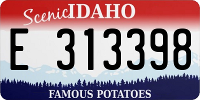 ID license plate E313398