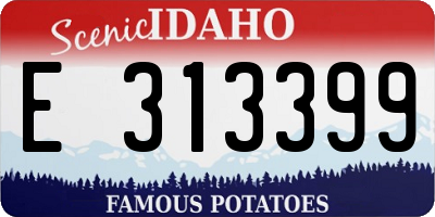 ID license plate E313399