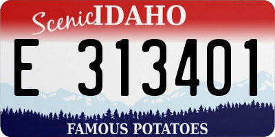 ID license plate E313401