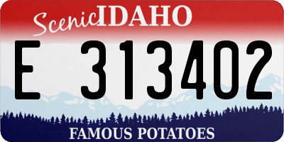 ID license plate E313402