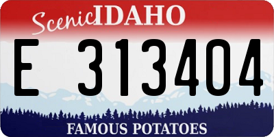 ID license plate E313404