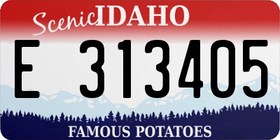 ID license plate E313405