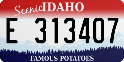 ID license plate E313407