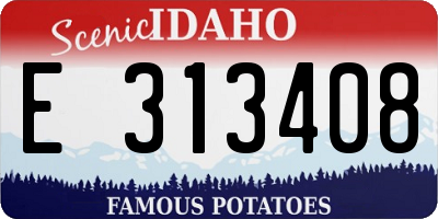 ID license plate E313408