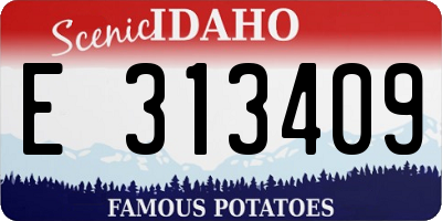 ID license plate E313409