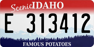 ID license plate E313412