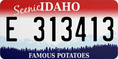 ID license plate E313413