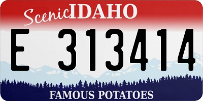 ID license plate E313414