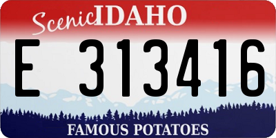 ID license plate E313416