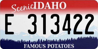 ID license plate E313422