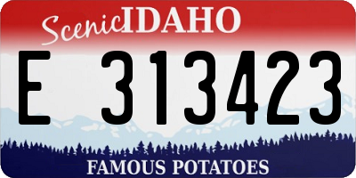 ID license plate E313423