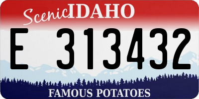 ID license plate E313432