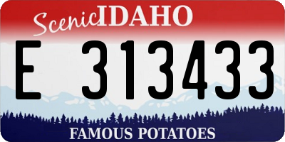 ID license plate E313433