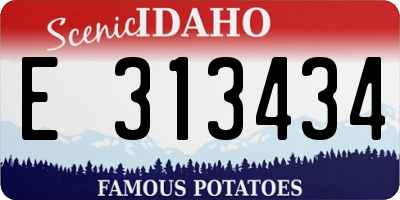 ID license plate E313434