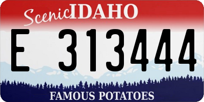 ID license plate E313444