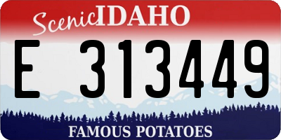 ID license plate E313449