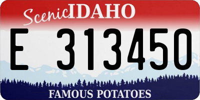ID license plate E313450