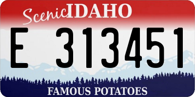 ID license plate E313451