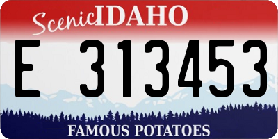 ID license plate E313453
