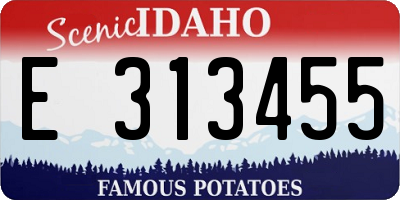 ID license plate E313455