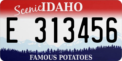 ID license plate E313456