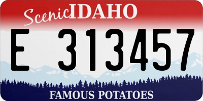 ID license plate E313457