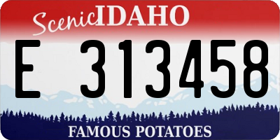 ID license plate E313458