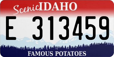 ID license plate E313459