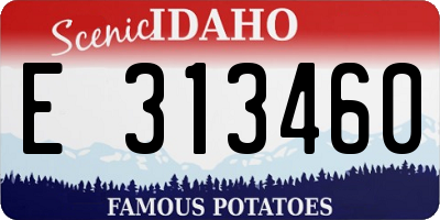 ID license plate E313460
