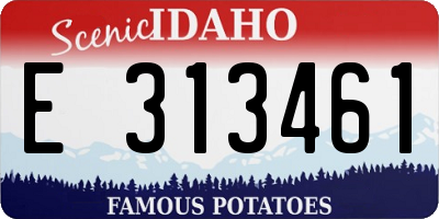 ID license plate E313461