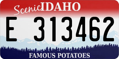 ID license plate E313462