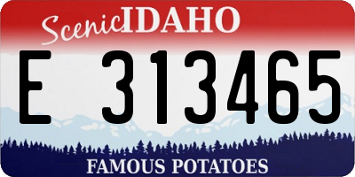 ID license plate E313465