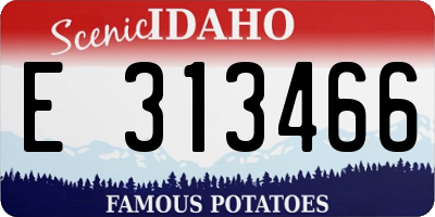 ID license plate E313466