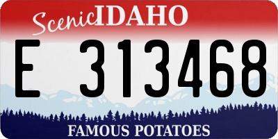 ID license plate E313468