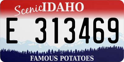 ID license plate E313469