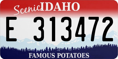 ID license plate E313472