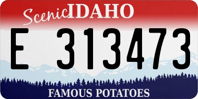 ID license plate E313473