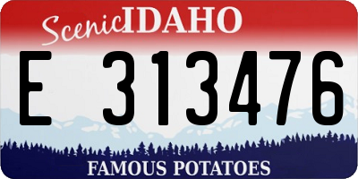 ID license plate E313476